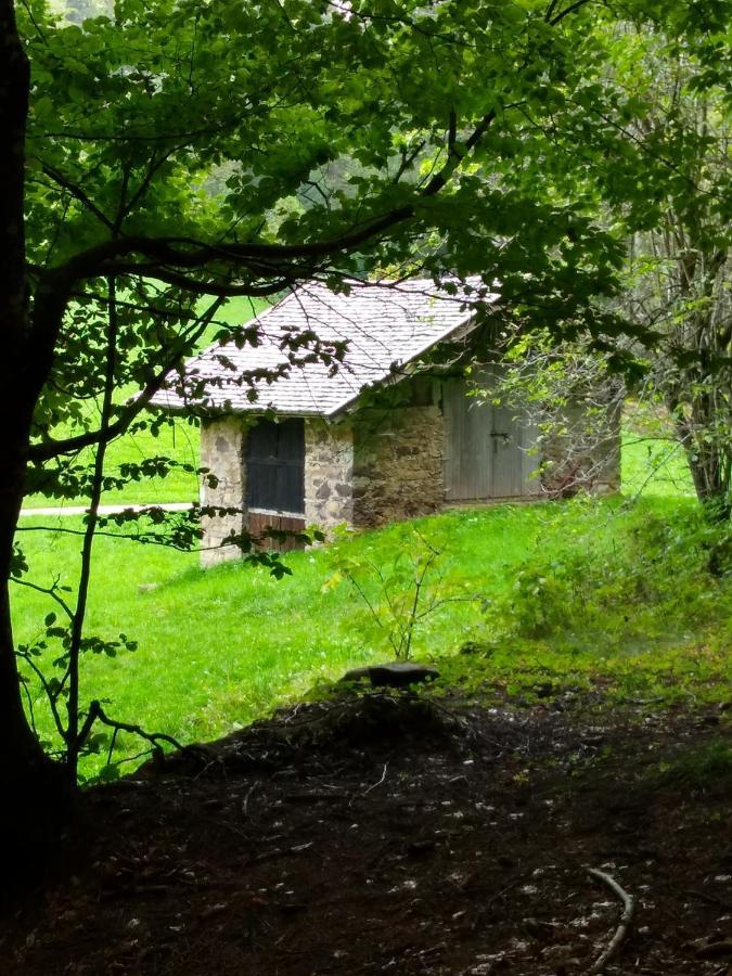 Casa Ida - Clpat 22253 Villa Tregiovo Eksteriør bilde