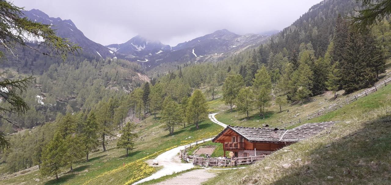 Casa Ida - Clpat 22253 Villa Tregiovo Eksteriør bilde