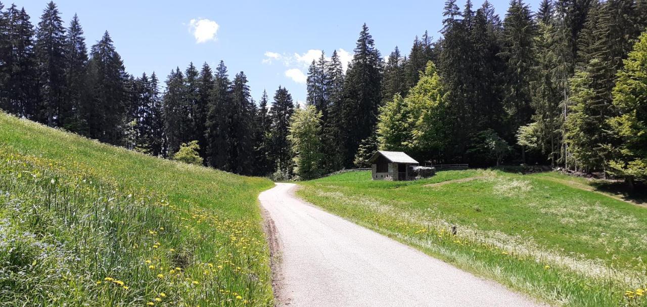 Casa Ida - Clpat 22253 Villa Tregiovo Eksteriør bilde